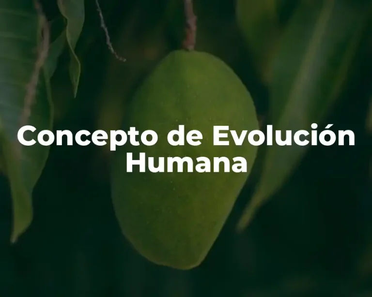 Concepto de Evolución Humana