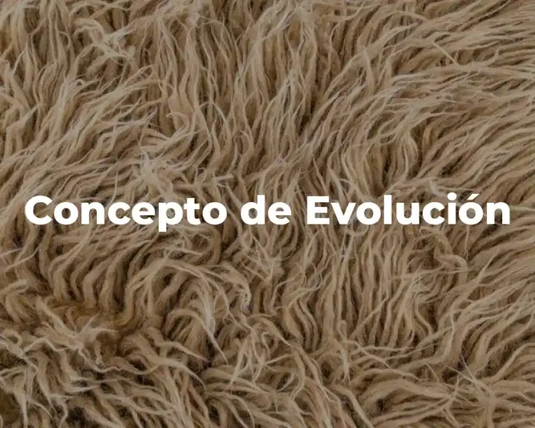 Concepto de Evolución