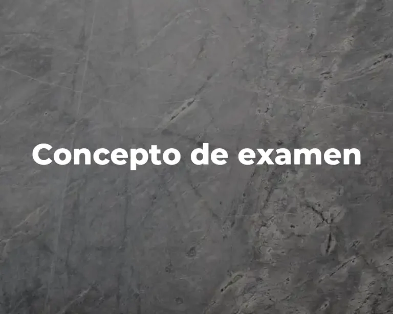 Concepto de examen