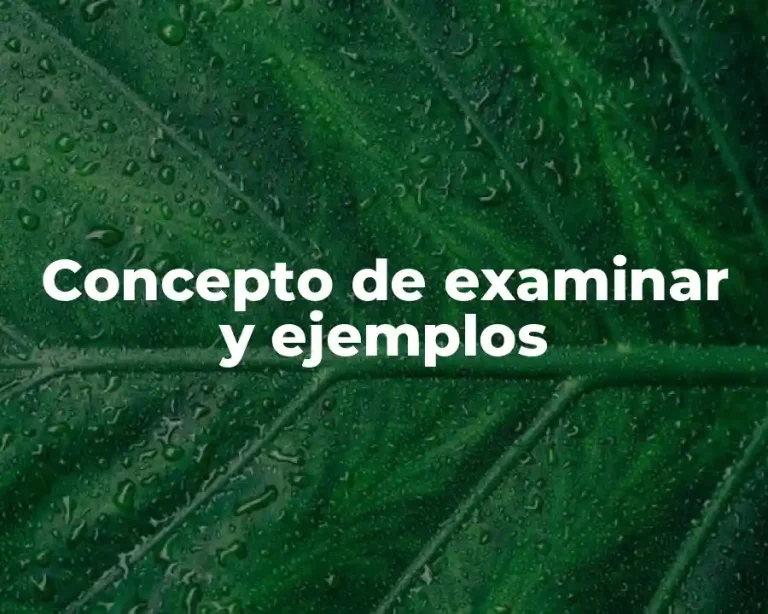 Concepto de examinar y ejemplos