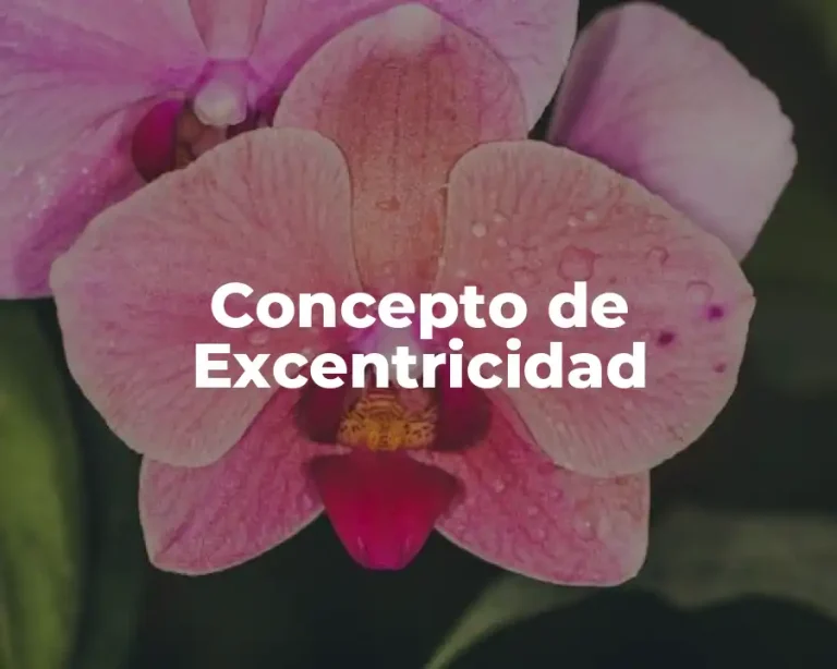 Concepto de Excentricidad