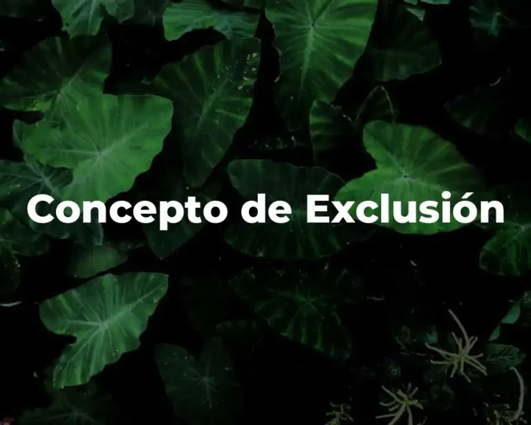 Concepto de Exclusión