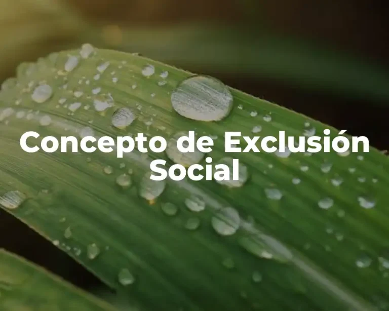 Concepto de Exclusión Social