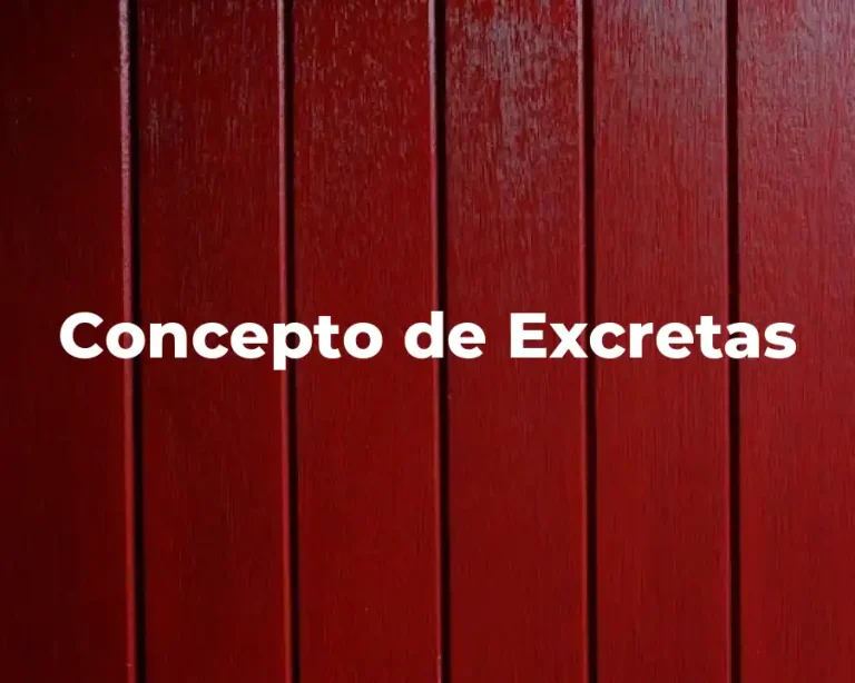 Concepto de Excretas