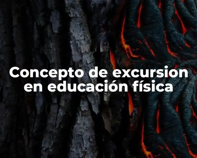 Concepto de excursion en educación física