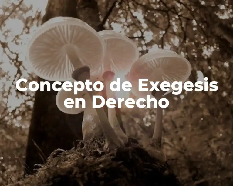 Concepto de Exegesis en Derecho