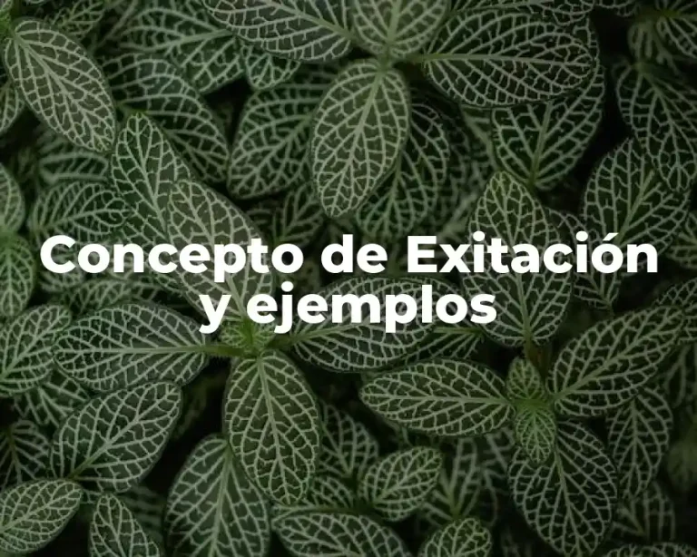 Concepto de Exitación y ejemplos