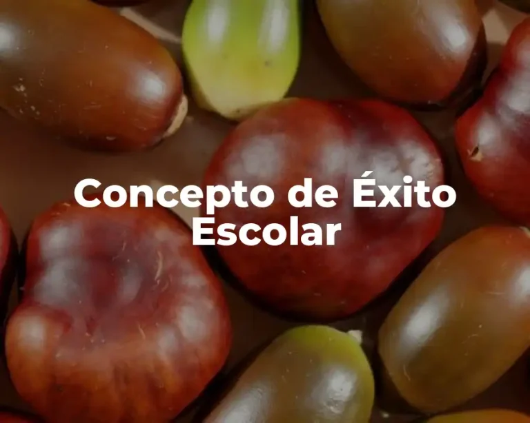 Concepto de Éxito Escolar
