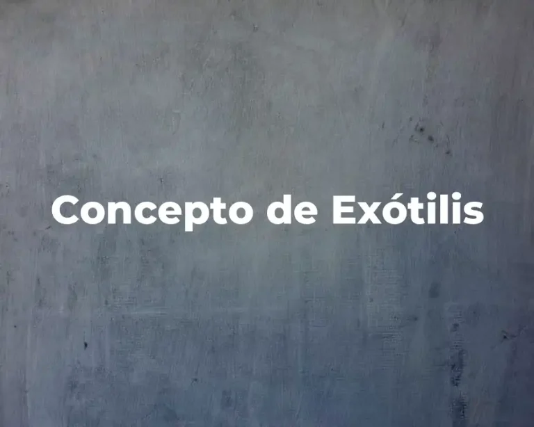 Concepto de Exótilis