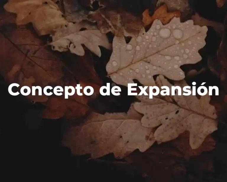 Concepto de Expansión