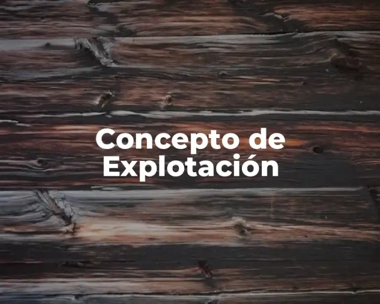 Concepto de Explotación