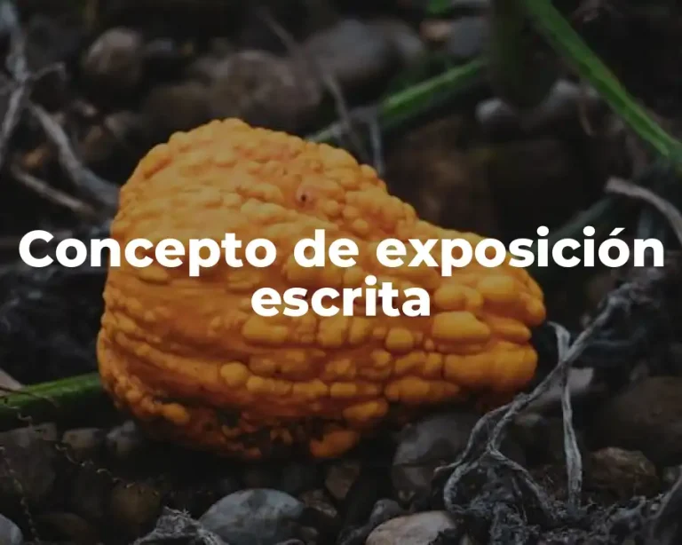 Concepto de exposición escrita