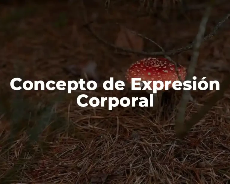 Concepto de Expresión Corporal