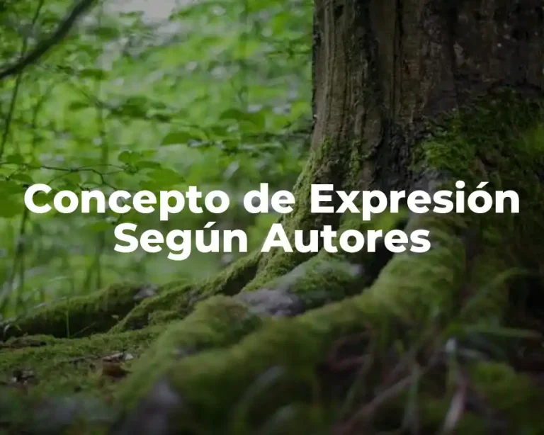 Concepto de Expresión Según Autores