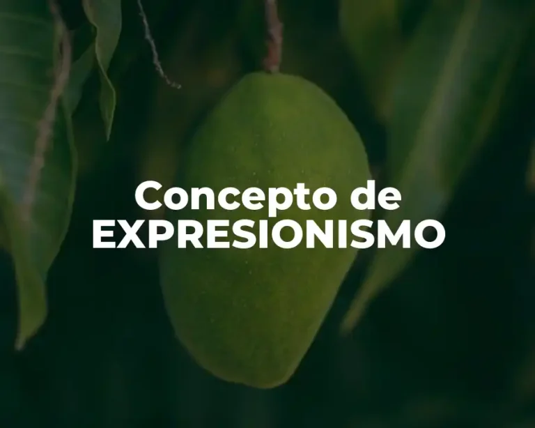 Concepto de EXPRESIONISMO