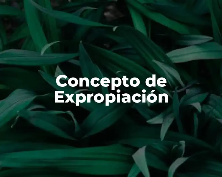 Concepto de Expropiación