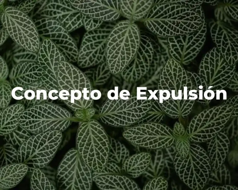 Concepto de Expulsión