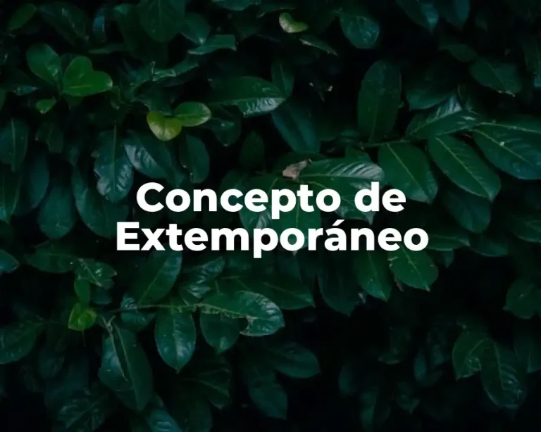 Concepto de Extemporáneo