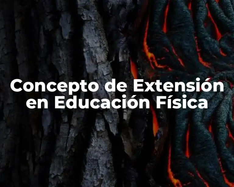 Concepto de Extensión en Educación Física