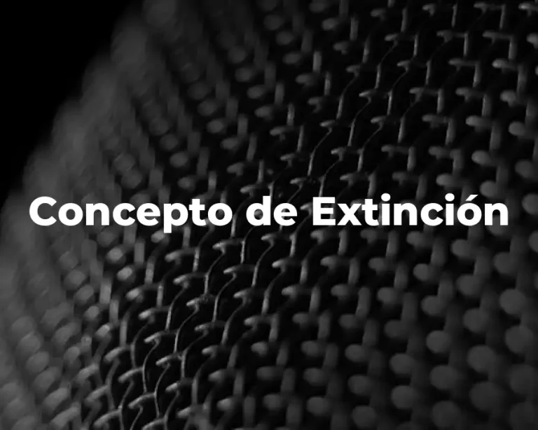 Concepto de Extinción