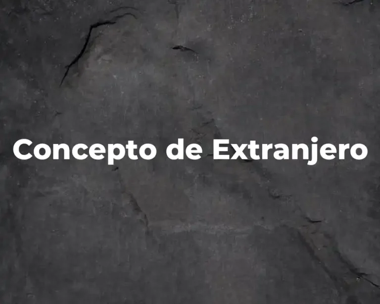 Concepto de Extranjero