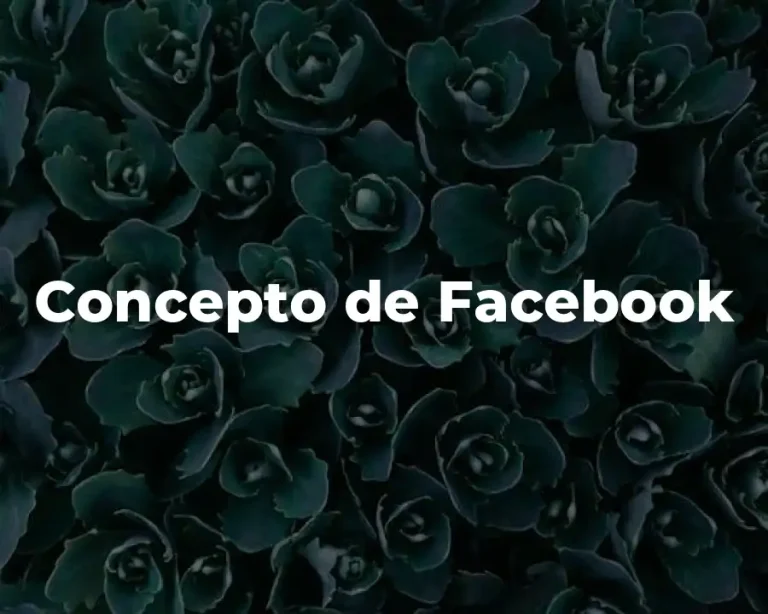 Concepto de Facebook