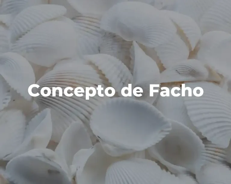 Concepto de Facho