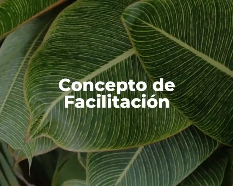 Concepto de Facilitación