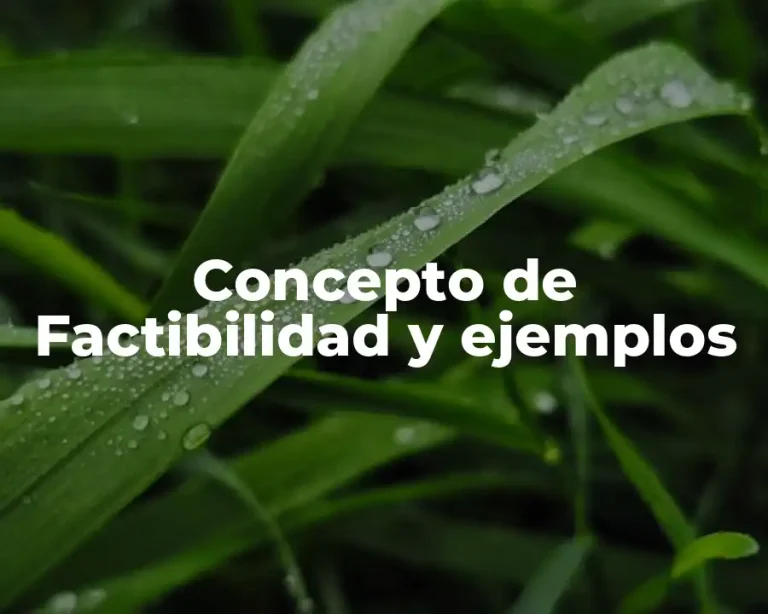 Concepto de Factibilidad y ejemplos