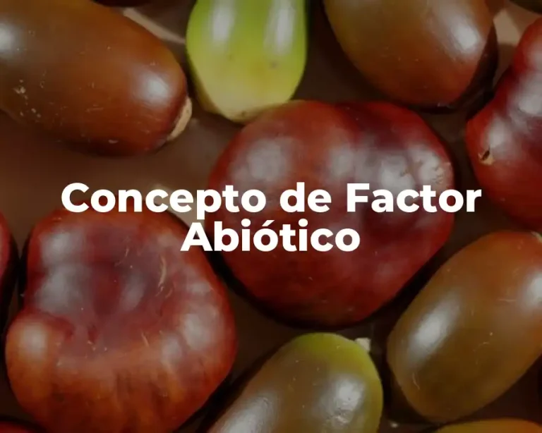 Concepto de Factor Abiótico