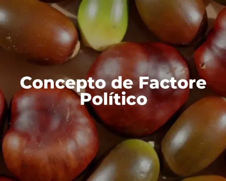 Concepto de Factore Político