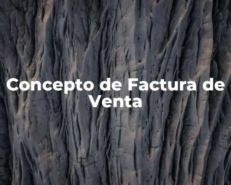 Concepto de Factura de Venta