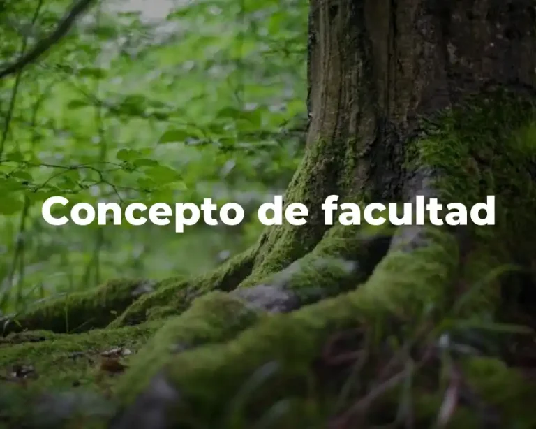 Concepto de facultad
