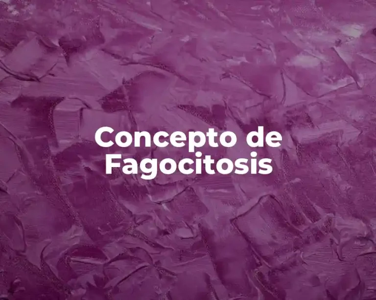 Concepto de Fagocitosis