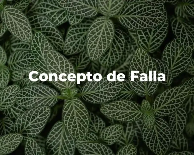Concepto de Falla