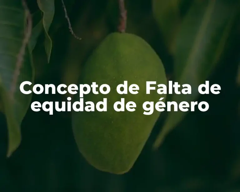 Concepto de Falta de equidad de género