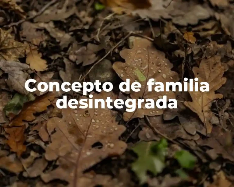 Concepto de familia desintegrada
