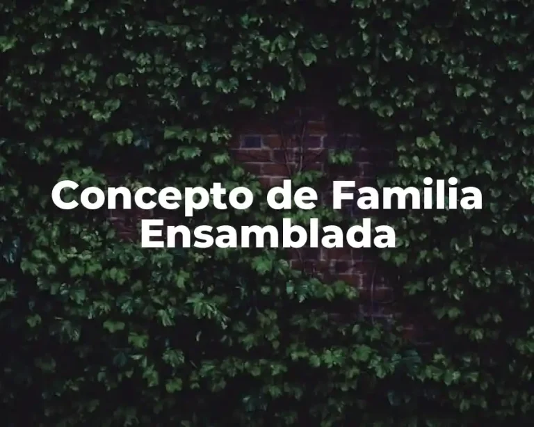 Concepto de Familia Ensamblada