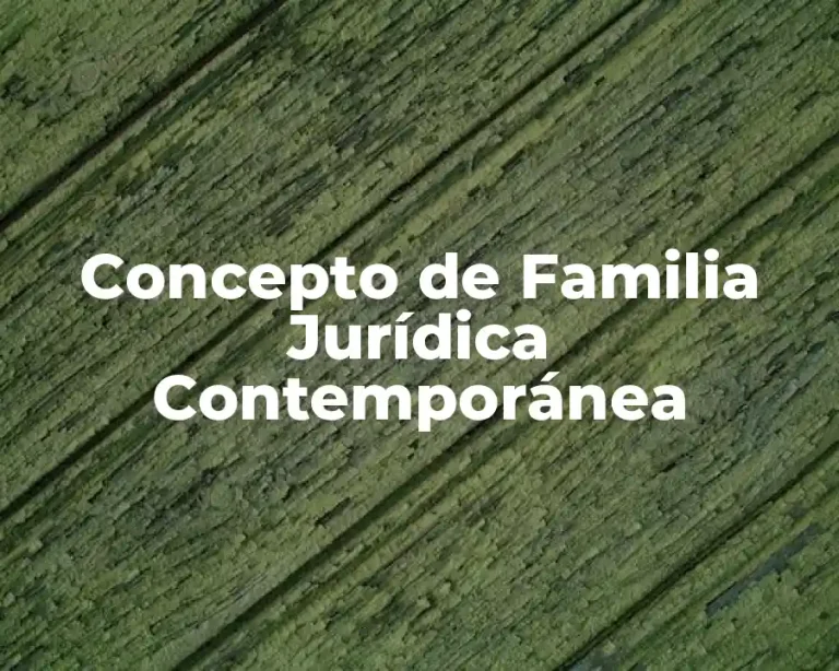 Concepto de Familia Jurídica Contemporánea