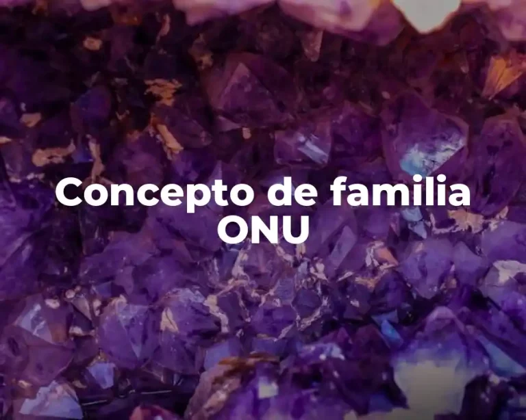 Concepto de familia ONU