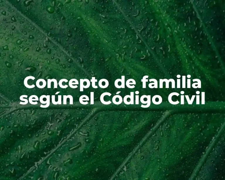 Concepto de familia según el Código Civil