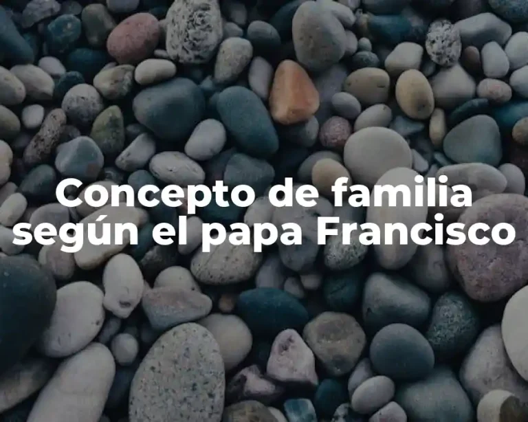 Concepto de familia según el papa Francisco