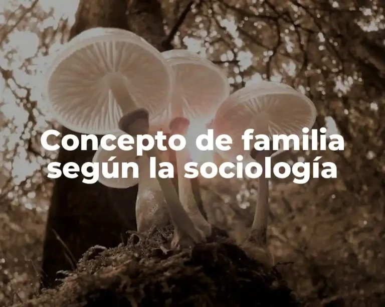 Concepto de familia según la sociología