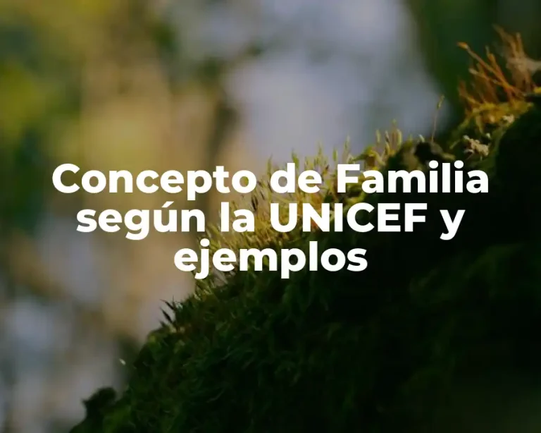 Concepto de Familia según la UNICEF y ejemplos