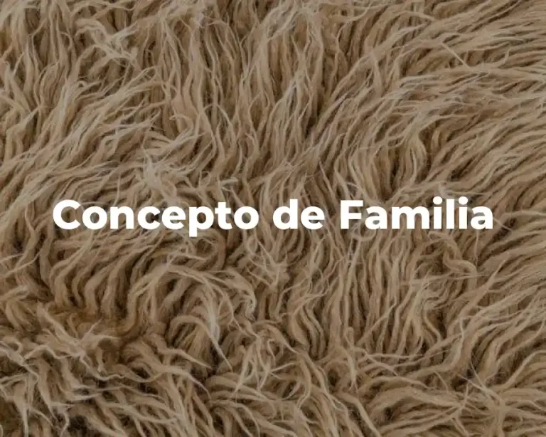 Concepto de Familia