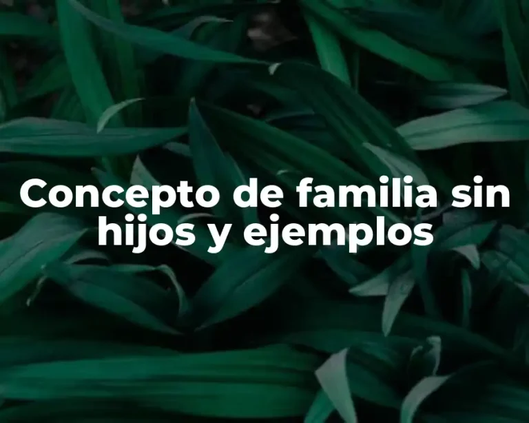 Concepto de familia sin hijos y ejemplos