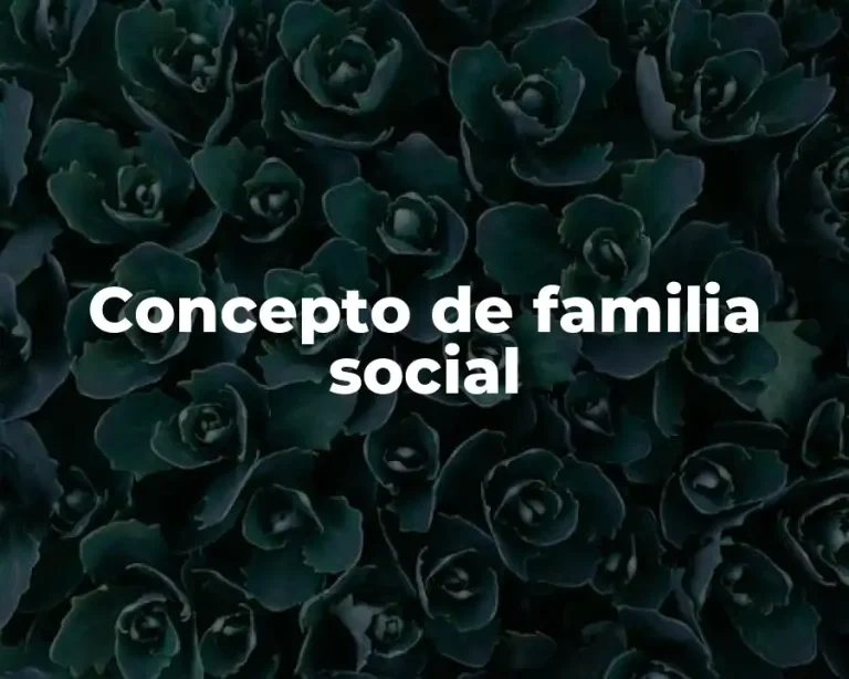 Concepto de familia social