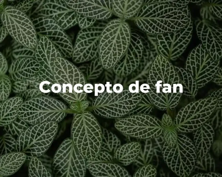 Concepto de fan