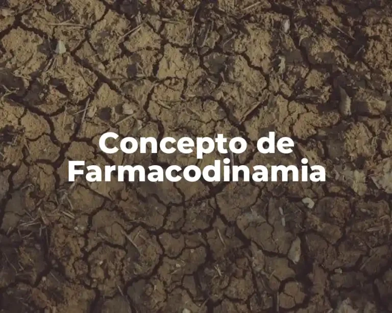 Concepto de Farmacodinamia