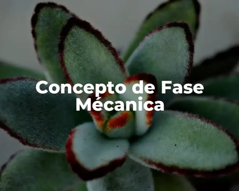 Concepto de Fase Mécanica